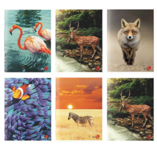BE MORE ANIMAL QUADERNO PUNTO METALLICO 80GR 210X297 mm A4 40 FOGLI A QUADRETTI 5M FANTASIE ASSORTITE CONF 10 Pz.